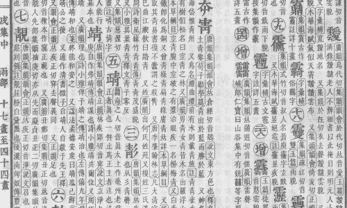 藜豆的药用价值-黎豆吃法-专业藜豆花平台-藜豆的药用价值